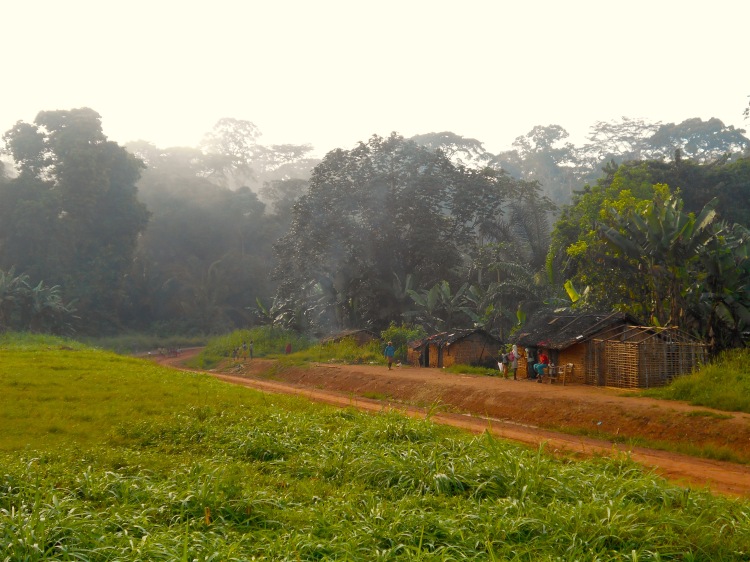 A Baka village near Lomié to the east of the Dja Biosphere Reserve